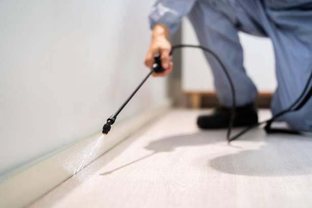 Licensed Termite Control service in Spring Hill, FL - Nex Pest Control