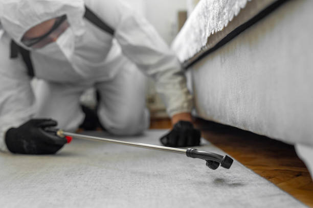 Professional Termite Control technician working in Spring Hill, FL