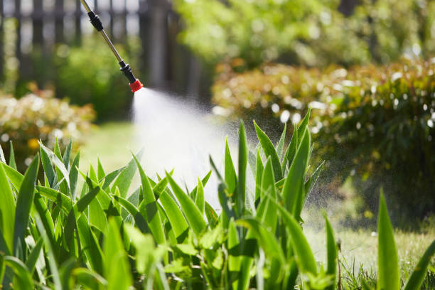 24/7 Emergency Termite Control experts in Spring Hill, FL