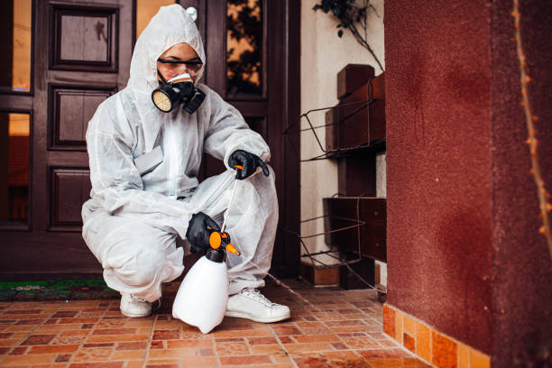 Reliable Termite Control contractor in Spring Hill, FL by Nex Pest Control