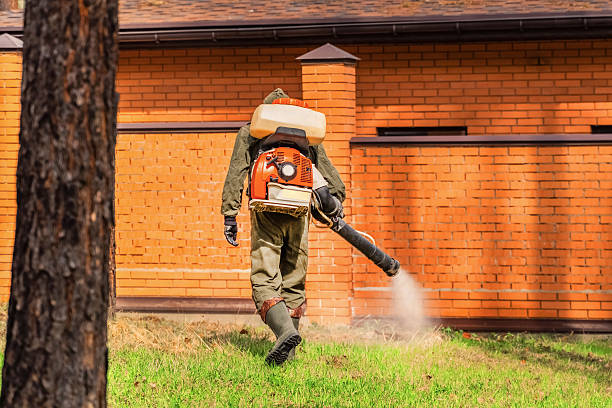 Top rated local Termite Control specialists in Spring Hill, FL
